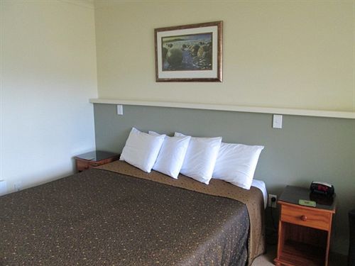 Shortland Court Motel Thames Εξωτερικό φωτογραφία